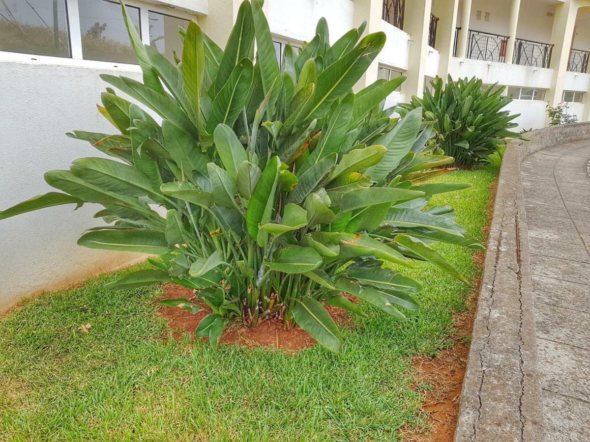 Falesia Apartment - Reis Magos Beach Caniço Esterno foto